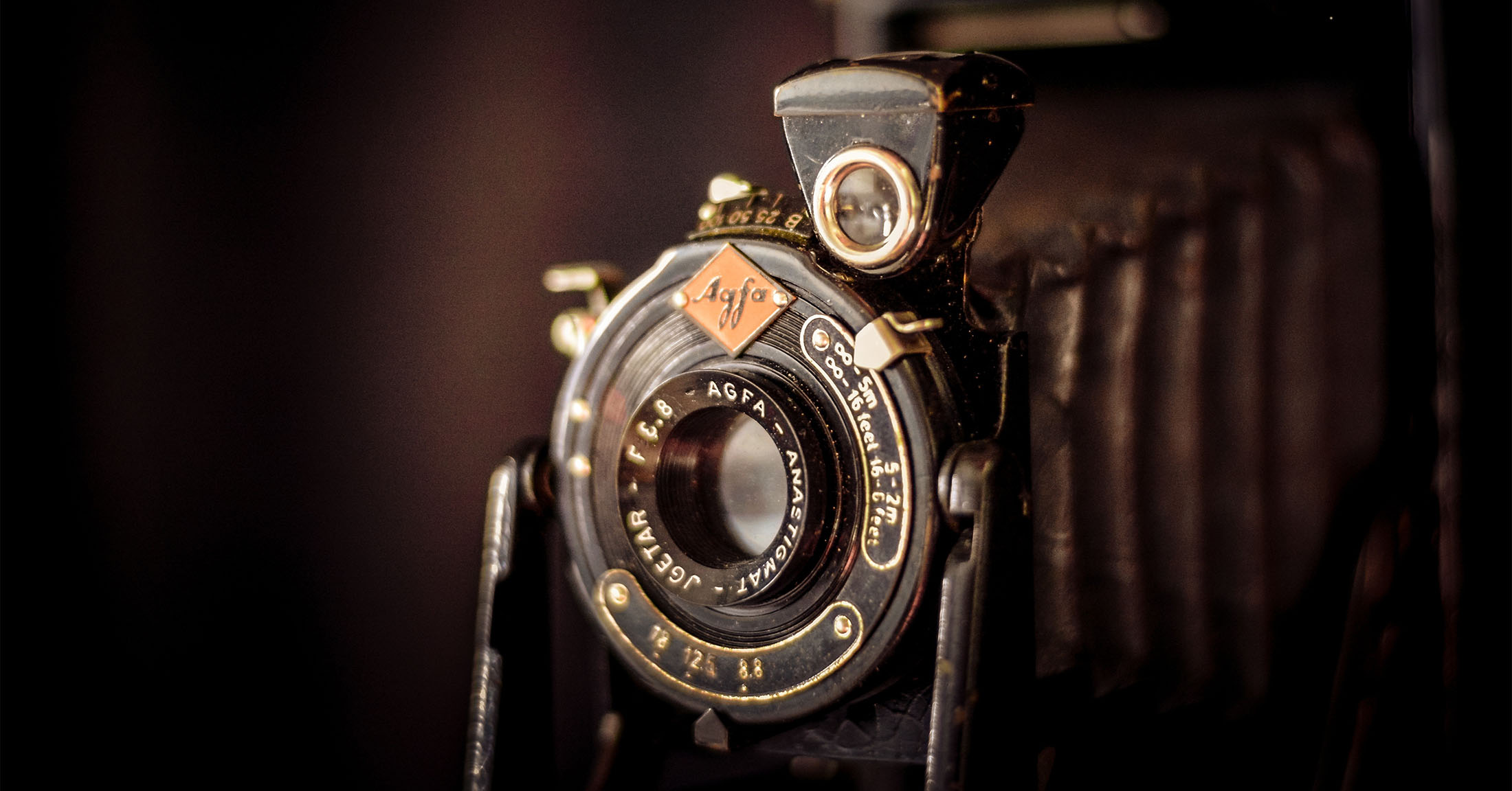 Lifesigns Gallery